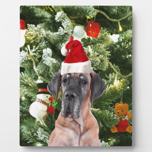 Grote Deense kerstboom geschenkdozen Santa Hat Fotoplaat (Voorkant)