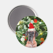 Grote Deense kerstboom geschenkdozen Santa Hat Magneet (Voorkant / Achterkant)