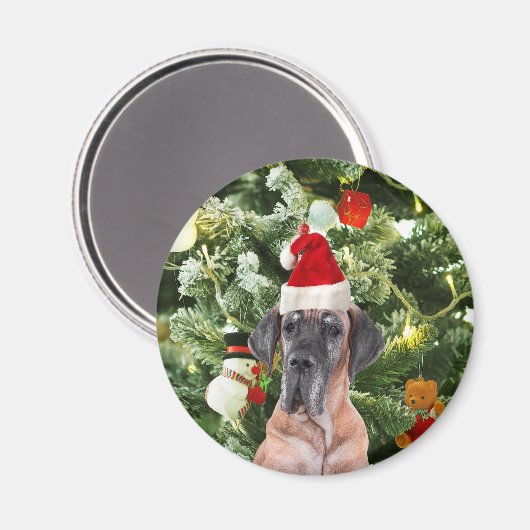 Grote Deense kerstboom geschenkdozen Santa Hat Magneet (Voorkant / Achterkant)