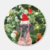 Grote Deense kerstboom geschenkdozen Santa Hat Magneet (Voorkant)
