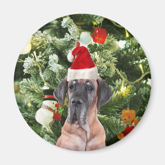 Grote Deense kerstboom geschenkdozen Santa Hat Magneet (Voorkant)