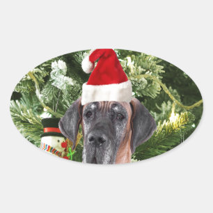 Grote Deense kerstboom geschenkdozen Santa Hat Ovale Sticker