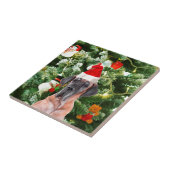 Grote Deense kerstboom geschenkdozen Santa Hat Tegeltje (Zijkant)