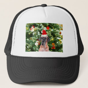 Grote Deense kerstboom geschenkdozen Santa Hat Trucker Pet