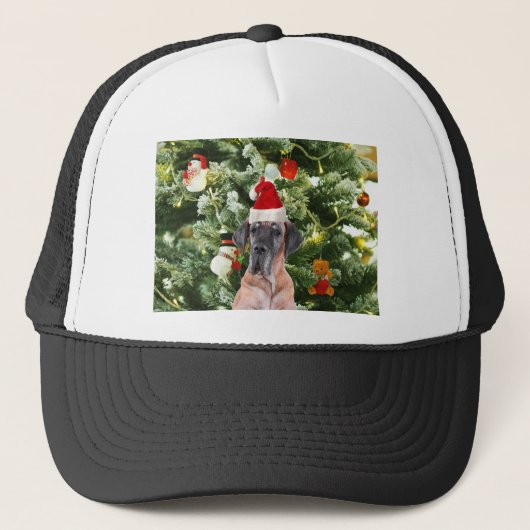 Grote Deense kerstboom geschenkdozen Santa Hat Trucker Pet (Voorkant)