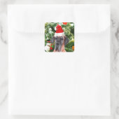 Grote Deense kerstboom geschenkdozen Santa Hat Vierkante Sticker (Tas)
