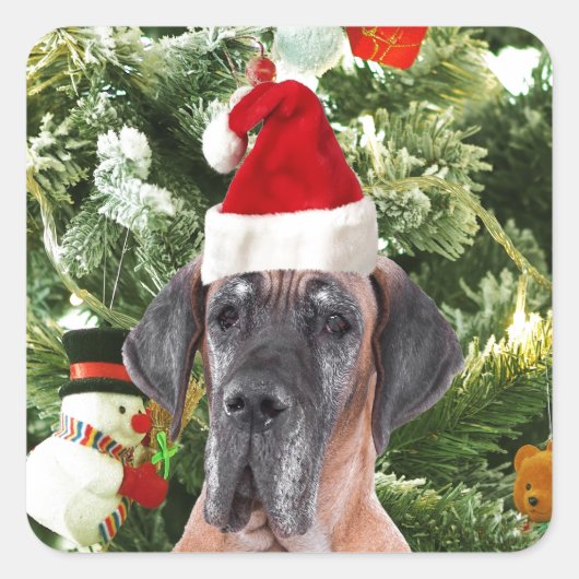 Grote Deense kerstboom geschenkdozen Santa Hat Vierkante Sticker (Voorkant)