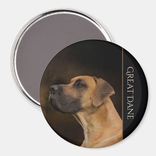 Grote Deense koelkast magneet (Voorkant / Achterkant)