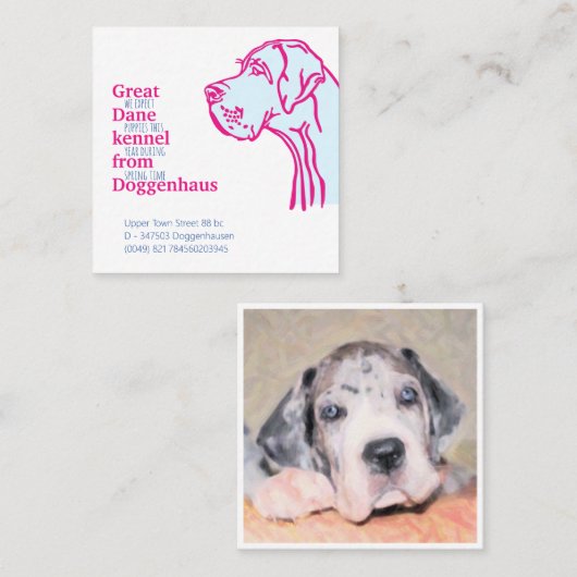 Grote Deense puppies te koop kaarten Vierkante Visitekaartje (Voorkant / Achterkant)