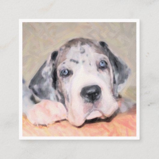 Grote Deense puppies te koop kaarten Vierkante Visitekaartje (Achterkant)