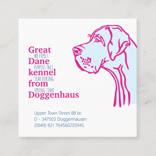 Grote Deense puppies te koop kaarten Vierkante Visitekaartje (Voorkant)