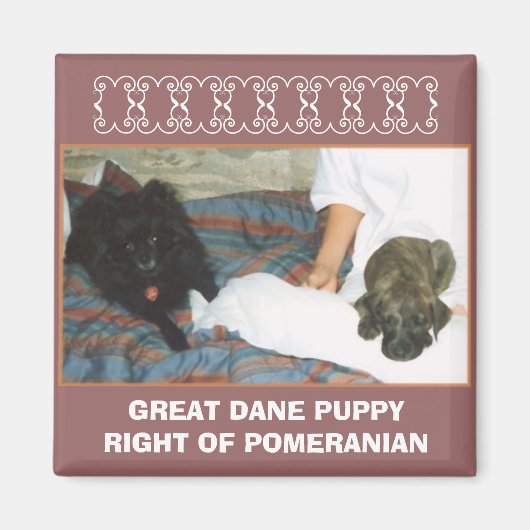 GROTE DEENSE PUPPY MAGNEET (Voorkant)