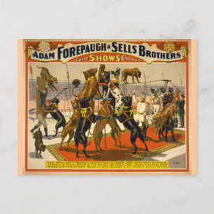 Grote Denen/Honden Circus Poster Briefkaart