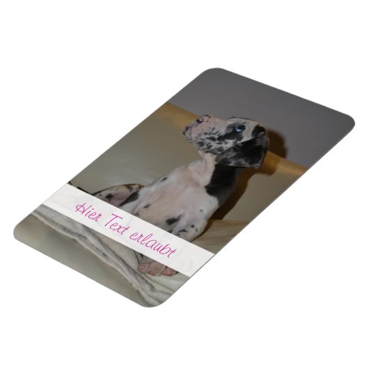 Grote Denen Magneet (Linkerzijde)