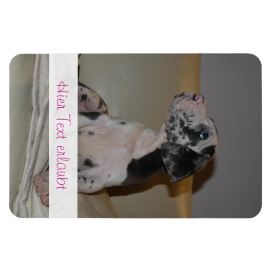 Grote Denen Magneet (Horizontaal)