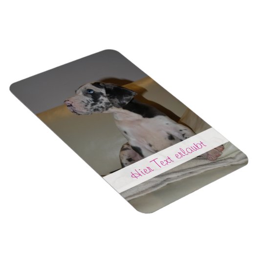 Grote Denen Magneet (Rechterzijde)