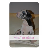 Grote Denen Magneet (Verticaal)