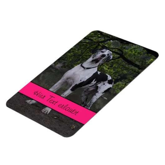 Grote Denen Magneet (Linkerzijde)