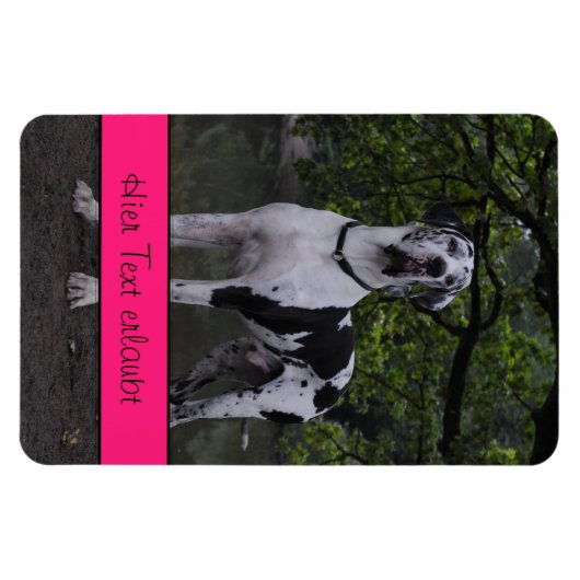 Grote Denen Magneet (Horizontaal)