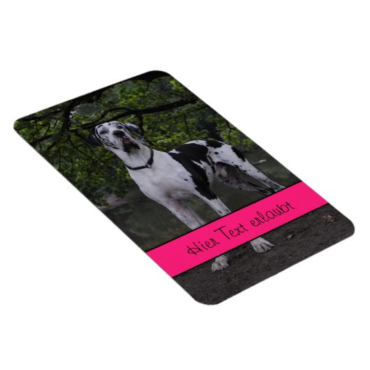 Grote Denen Magneet (Rechterzijde)