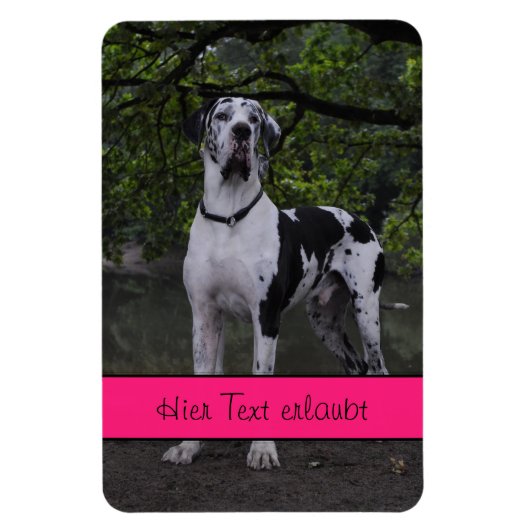 Grote Denen Magneet (Verticaal)