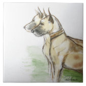 Grote Denen Tegeltje (Voorkant)