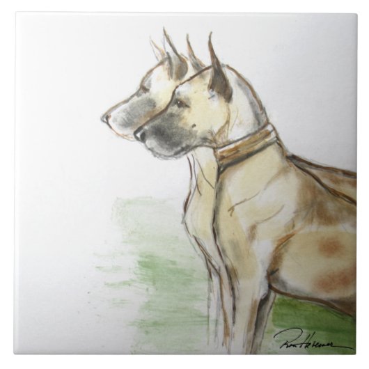 Grote Denen Tegeltje (Voorkant)