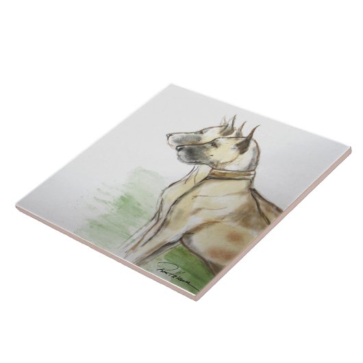 Grote Denen Tegeltje (Zijkant)