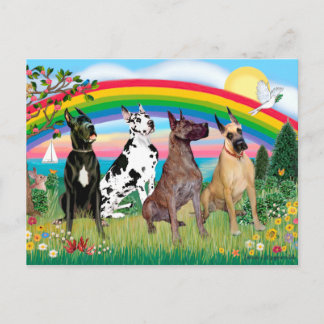 Grote Denen (vier) - Regenboog Bright Briefkaart