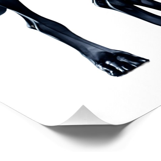 Grote Denen Waterverf Perfect Poster (Hoek)