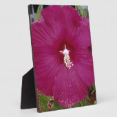 grote donkerrode hibiscus fotoplaat (Zijkant)