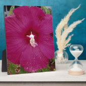 grote donkerrode hibiscus fotoplaat (Zijkant)