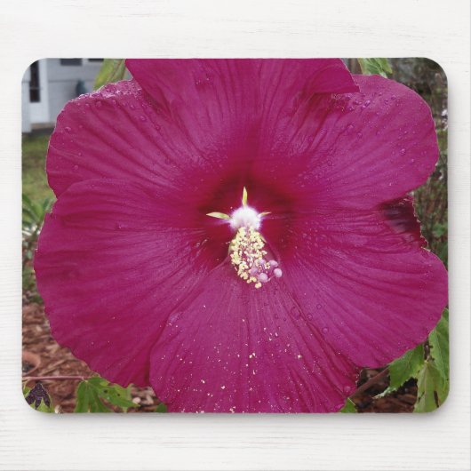 grote donkerrode hibiscus muismat (Voorkant)