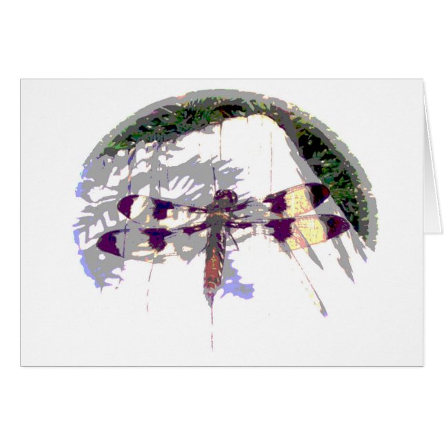 Grote dragonvlieg (Voorkant Horizontaal)