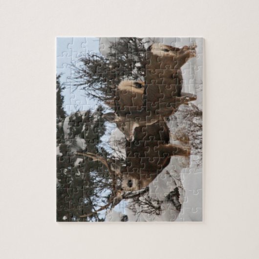 Grote drie punten legpuzzel (Verticaal)