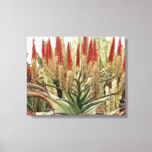 Grote eenzame in bloei canvas afdruk