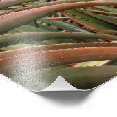 Grote eenzame in bloei foto afdruk (Hoek)