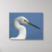 Grote Egret Canvas Print (Voorkant)