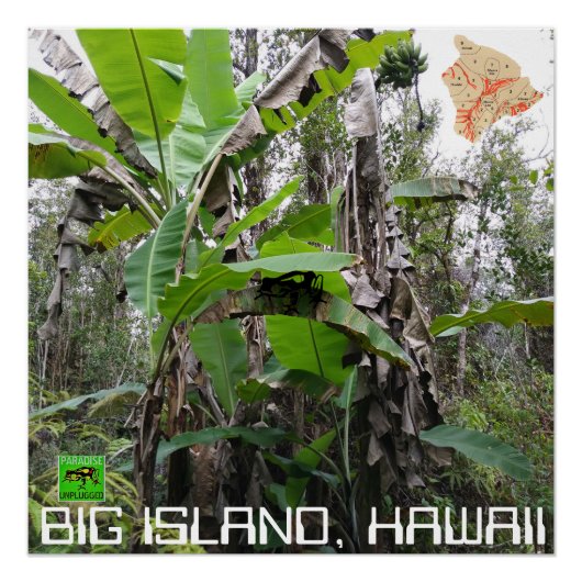 GROTE EILAND HAWAIÏ PERFECT POSTER (Voorkant)