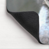 Grote Emu-Muismat Muismat (Hoek)