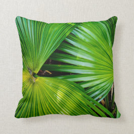 Grote en heldere bladeren uit de tropen kussen