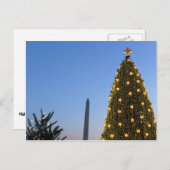 Grote en kleine kerstbomen II-feestdag in DC Feestdagenkaart (Voorkant / Achterkant)