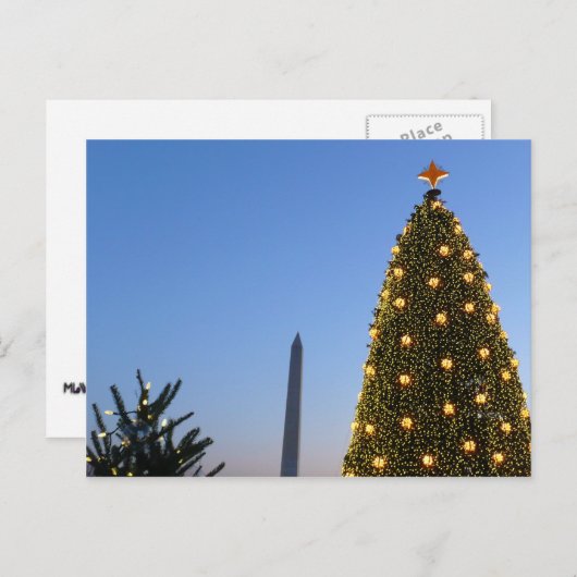 Grote en kleine kerstbomen II-feestdag in DC Feestdagenkaart (Voorkant / Achterkant)