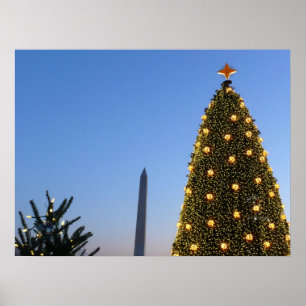Grote en kleine kerstbomen II-feestdag in DC Poster