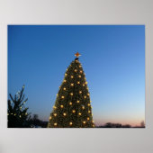 Grote en kleine kerstbomen in vakantie zonsonderga poster (Voorkant)