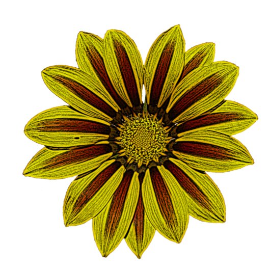 grote en vette gele bloemen met rode strepen douchegordijn