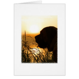 Grote Engelse Mastiff Silhouette op Sunrise