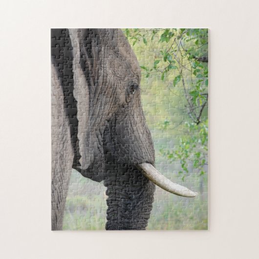 Grote exotische Afrikaanse grijze olifant Legpuzzel (Verticaal)