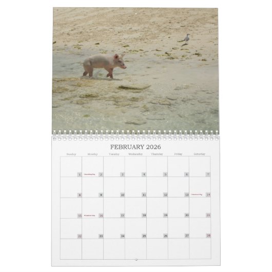 Grote Exuma, Bahamas Calendar Kalender (Feb 2026)
