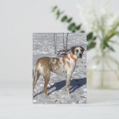 Grote Fawnequin Grote Deense hond Droevige ogen Cl Feestdagenkaart (Staand voorkant)